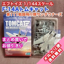 Tomcat Memories F-14A Tomcat 111th Fighter Squadron Sundowners #fd1871