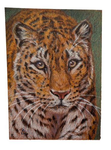 ACEO ORIGINAL Leopard Tiger Big Cat by  artist Svetlana Ledneva-Schukina 2007