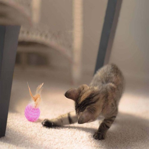 4 Pcs Candy Colored Badminton Cat Exercise Toys Engaging Scratching Training - Picture 7 of 11