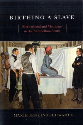 BIRTHING A SLAVE by SCHWARTZ, MARIE JENK Paperback Self Help Business