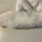 Bild 7 von 12