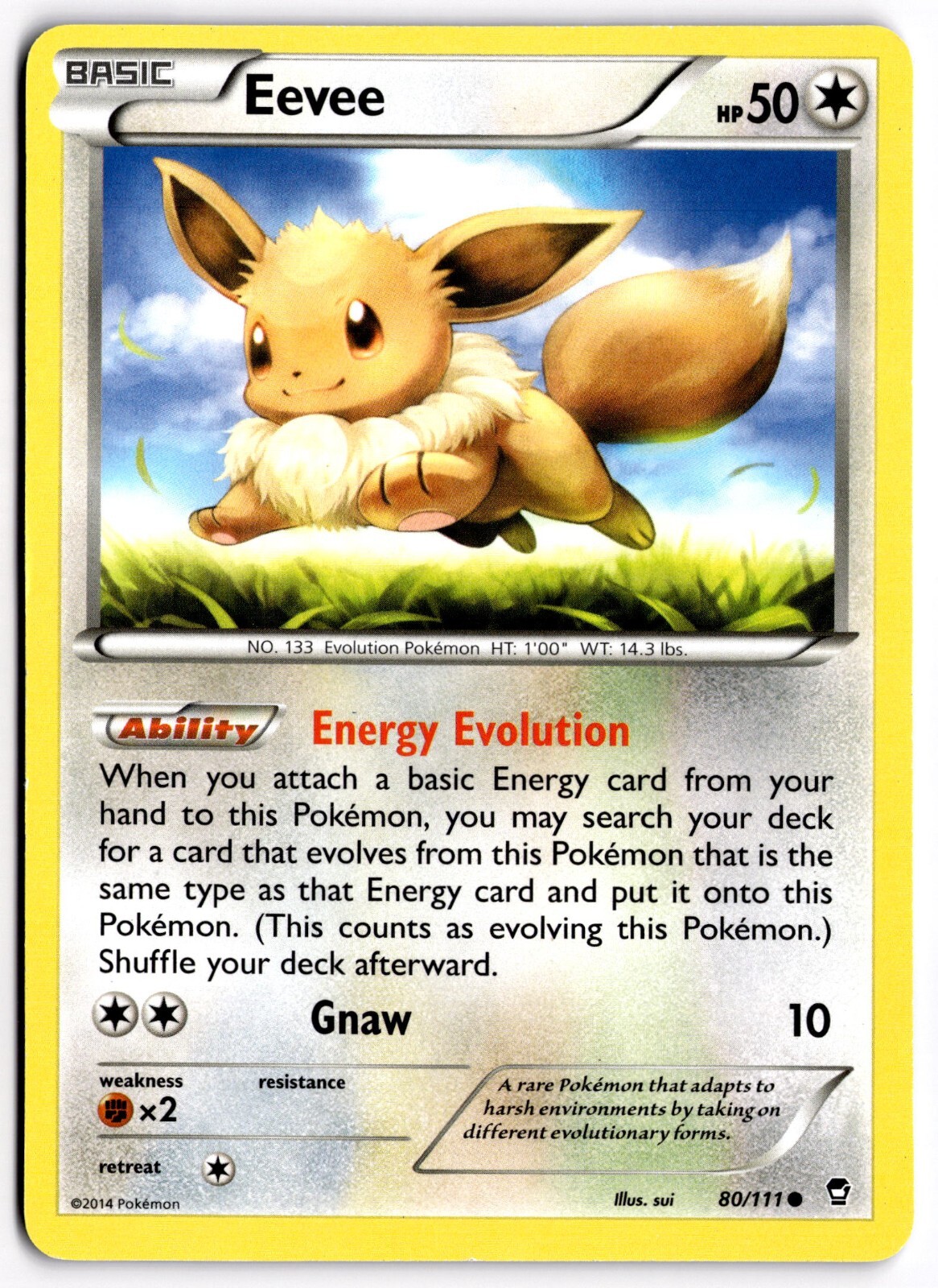 Pokemon TCG Eevee 80/111 XY-Furious Fists Regular