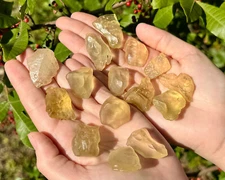 Libyan Desert Glass - 100% Genuine Natural Premium Quality Libyan Gold Tektite