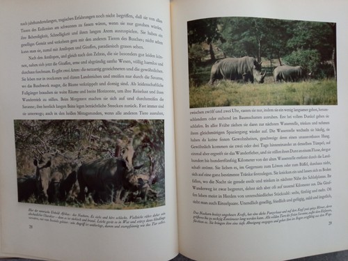 R00103 Walt Disney - Geheimnisse der Steppe - Gebundene Ausgabe – 1956 - Picture 4 of 6