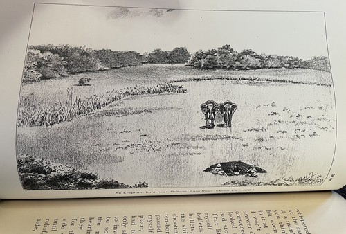 McMillan's Expeditions Game Hunting Southern Sudan Abyssinia East Africa, Jessen - Picture 18 of 24