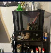 -reptile enclosure -w iguana -light Fixture /bulbs￼