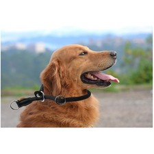 Training Collar for Large Dogs with Adjustable Stopper