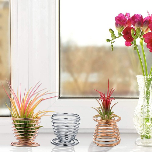 6 Pcs Flower Pot Stainless Steel Air Plant Stand Container Tillandsia Holder - Picture 6 of 7