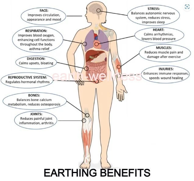 Earthing Grounding Mat 20" x 12" Carbon, WASHABLE, IMPROVES SLEEP, EMF DETOX - Picture 2 of 9