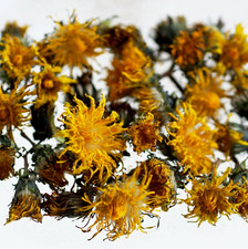 Wild Mountain Grown Dried Dandelion