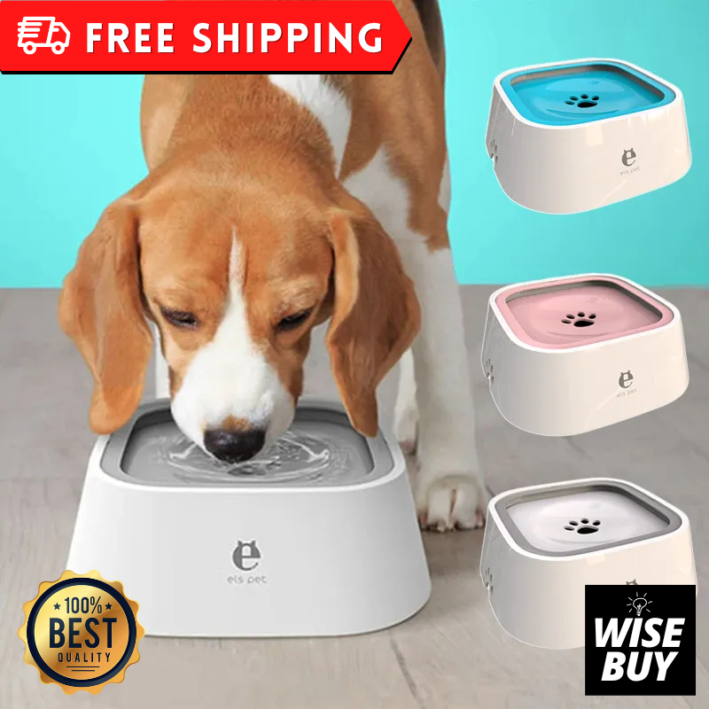 How Much Puppy Drinks Too Much Water Throws Up Water Intake Dog