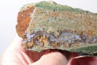 Needle Peak Texas 9 oz. Sagenite Agate lapidary faced rough lot H — photo 2