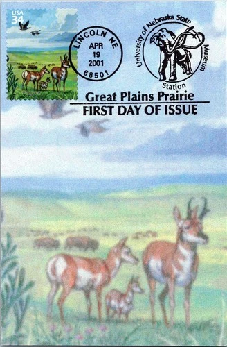 Dr Jim Stamps Maximum Card 34c Great Plains Prairie Goose & Pronghorn First Day