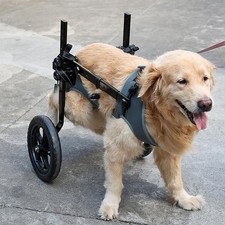 New Dog Wheelchair For Back Legs For Large Dogs,  XXL 80-93cm
