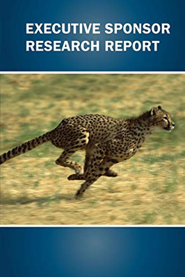 Executive Sponsor Research Report                                              