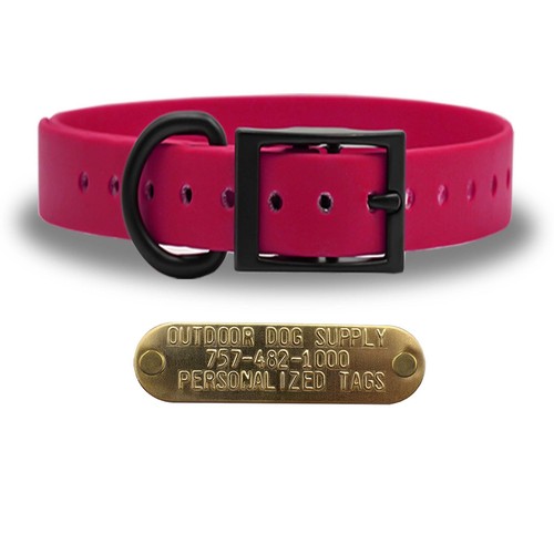 1" Solid SoftFlex Beta D Ring Dog Collar with Brass Name Plate - Picture 33 of 41