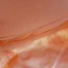 Bild 10 von 13