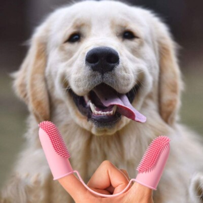 Dog Toothbrush 2-Finger Brush with Soft Bristles to Reduce and