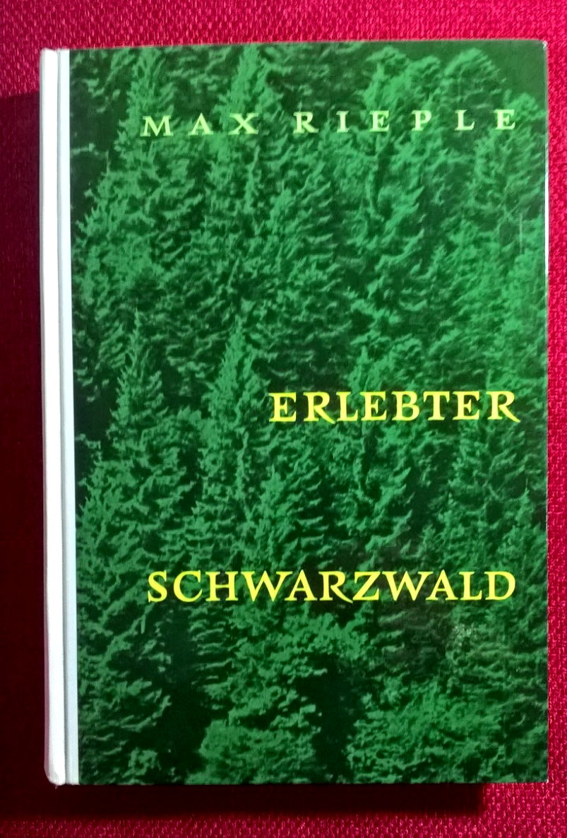 Bild 1 von 4