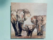 Beautiful Elephant Abstract Wall Art Hanger Canvas Animal Picture Painting
