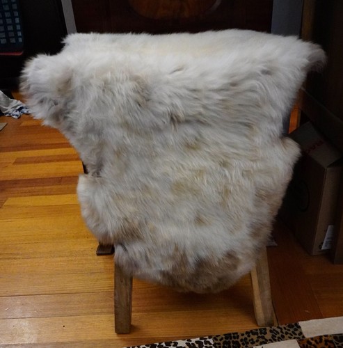 A Beautiful European Sheepskin Rug - The Softest of Tones - Picture 7 of 8