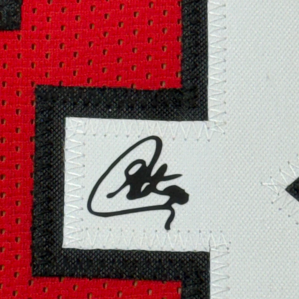 Framed Facsimile Autographed Stephen Steph Curry 35x39 Davidson Reprint Jersey - Image 2 of 2