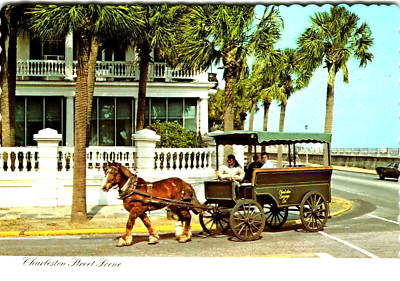 Postcard 4x6 SC Charleston Street Scene Horse Drawn Carriage Tours