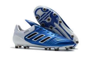 Adidas Copa 17.1 Fg Men's Football 