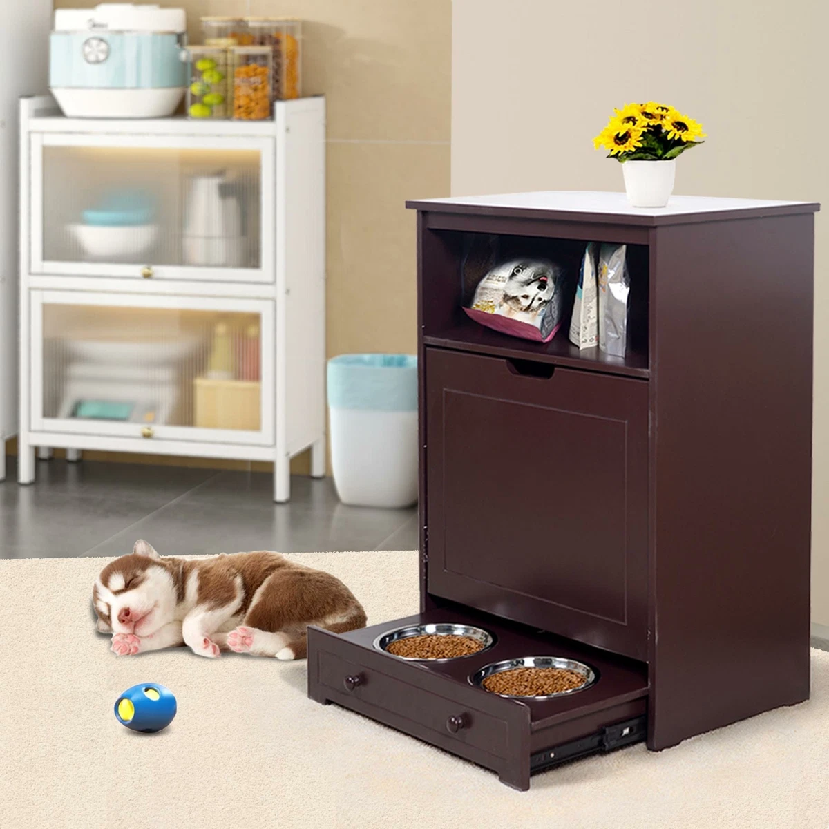 Cat and shop dog feeding station