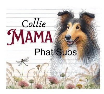 20oz Sublimation Tumbler Wrap Collie Mama Ready To Press Transfer