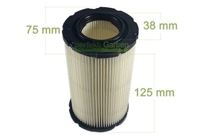 Luftfilter für Briggs & Stratton B&S Motor 13,5-19,5PS 31P600 31P700 / 5