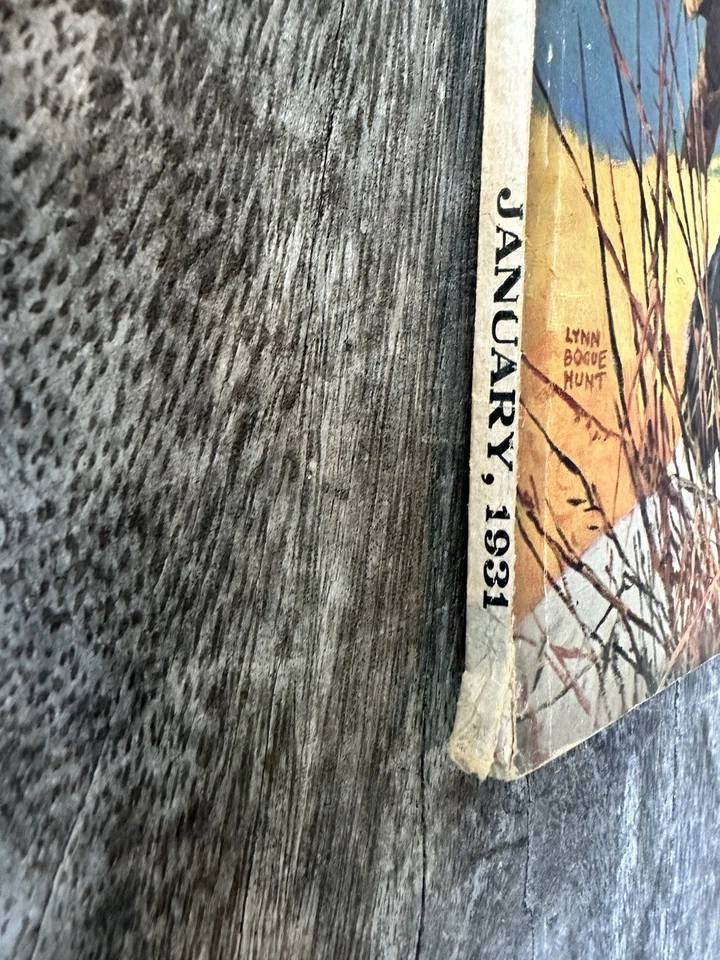 JANUARY 1931 FIELD & STREAM MAGAZINE QUAIL LYNN BOGUE HUNT - Image 2 of 4