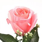 Bild 8 von 48
