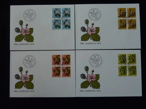 Pro Juventute fruits set of 4 FDC Switzerland 1973 (block of 4)