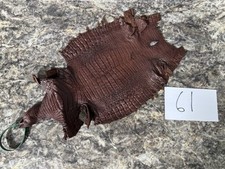 Brown Genuine Caiman Crocodile Hide Leather Skin real alligator Croc 61