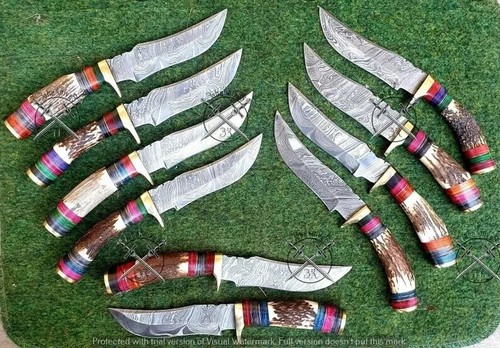 LOT OF 10 10 INCH HANDMADE DAMASCUS STEEL SKINNER KNIFE STAG\ANTLER W/SHEATH - Picture 3 of 4