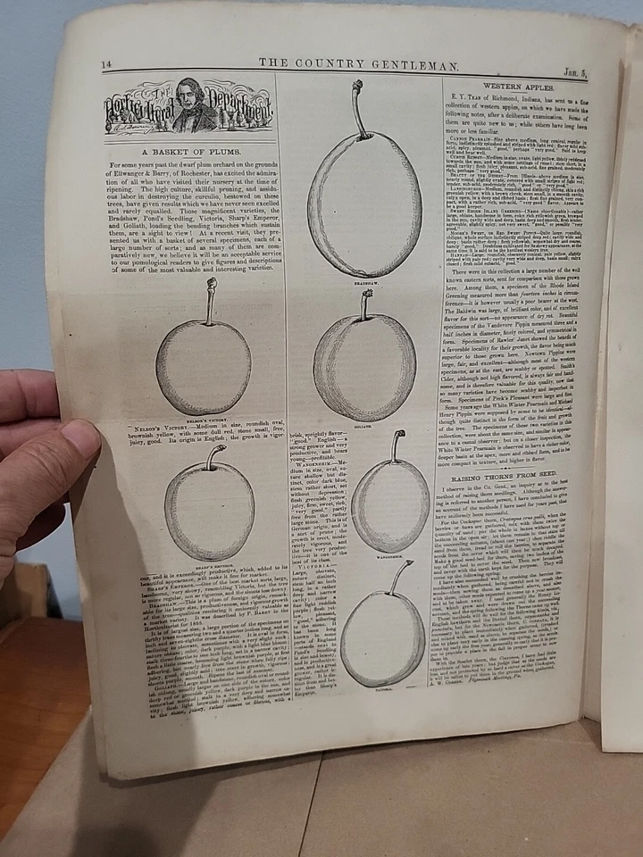 The Country Gentleman January 5, 1860 Civil War Era Magazine Complete Loose - Image 3 of 4