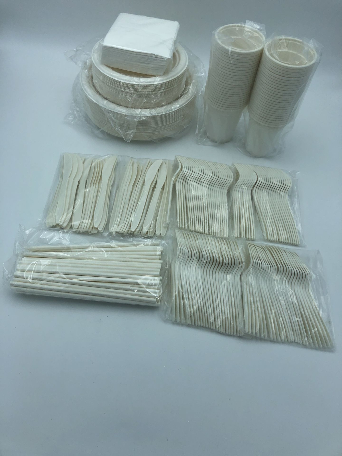 Aschef 400 Series Eco Biodegradable Dinnerware Set Disposable Compostable Tableware