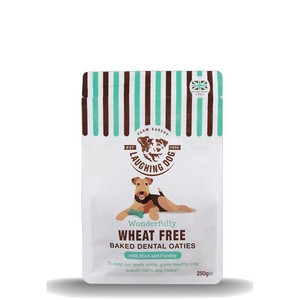 baby chihuahua black