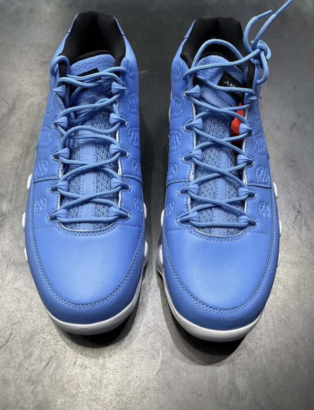 Nike Air Jordan Retro Low Pantone 2016 832822-401 Size