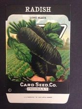 1930-40s Litho Antique Vintage Seed Packet Radish Black Card Seed Co Packs Ex
