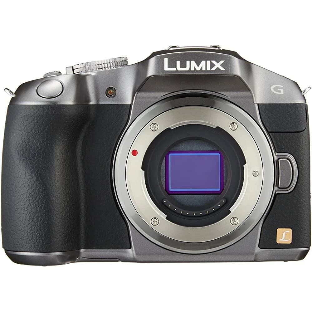panasonic dmc g6
