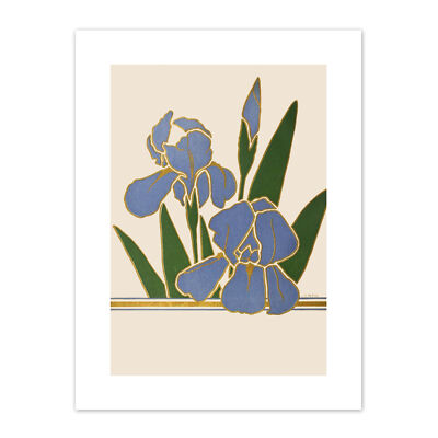 Blume Iris Vintage Anzeige Blume Boddingtons Leinwanddruck 30x40 cm