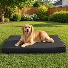 Outdoor Dog Bed Large Sized Dog Waterproof Extra Large Dog Bed 44x32x3.5 Inch