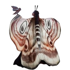 Women's Classic Halloween Moth Wing Costume Shawl Cape Headband