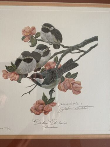 John A. Ruthven Carolina Chickadees Limited Edition Signed Numbered Lithograph A - Picture 2 of 8