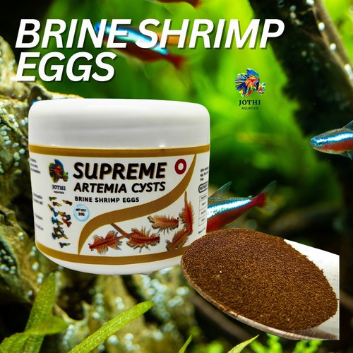 Supreme Artemia Cysts (10g) | Sole Garnelen Eier für Fische Pommes | 90% Schlupfrate - Bild 2 von 5