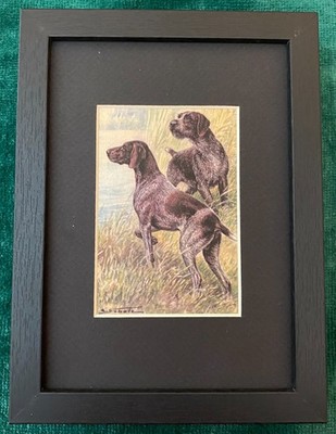 German Pointer - MATTED | FRAMED | READY TO GIFT - New Vintage Dog Art Print