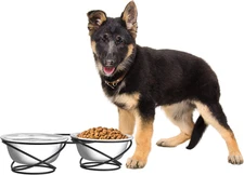 Set of 2 Elevated Dog Bowls - Stainless-Steel 40 OZ Large Food and Water Bowls f