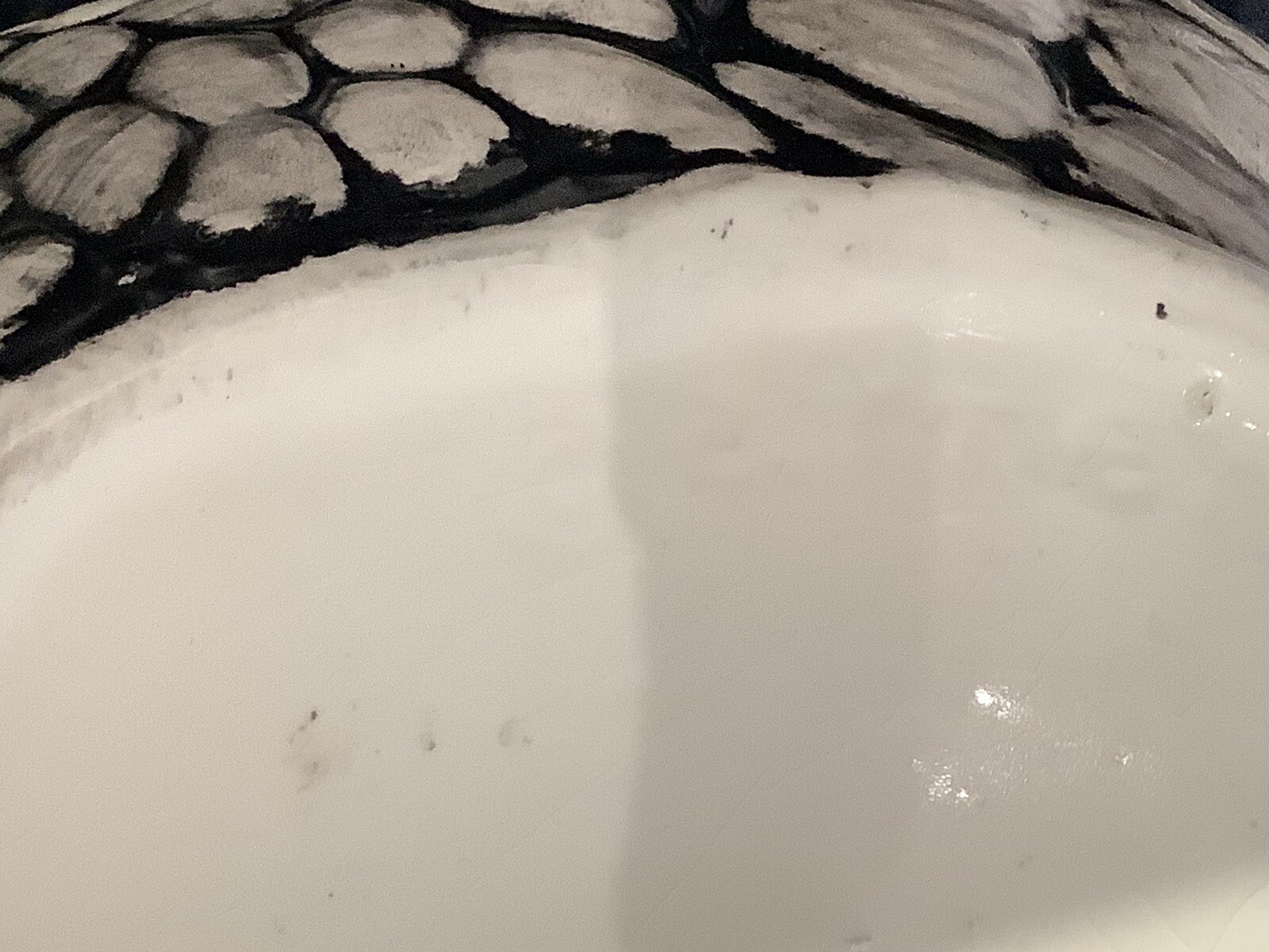 Unusual Ceramic Chicken Egg Holder VGC eBay